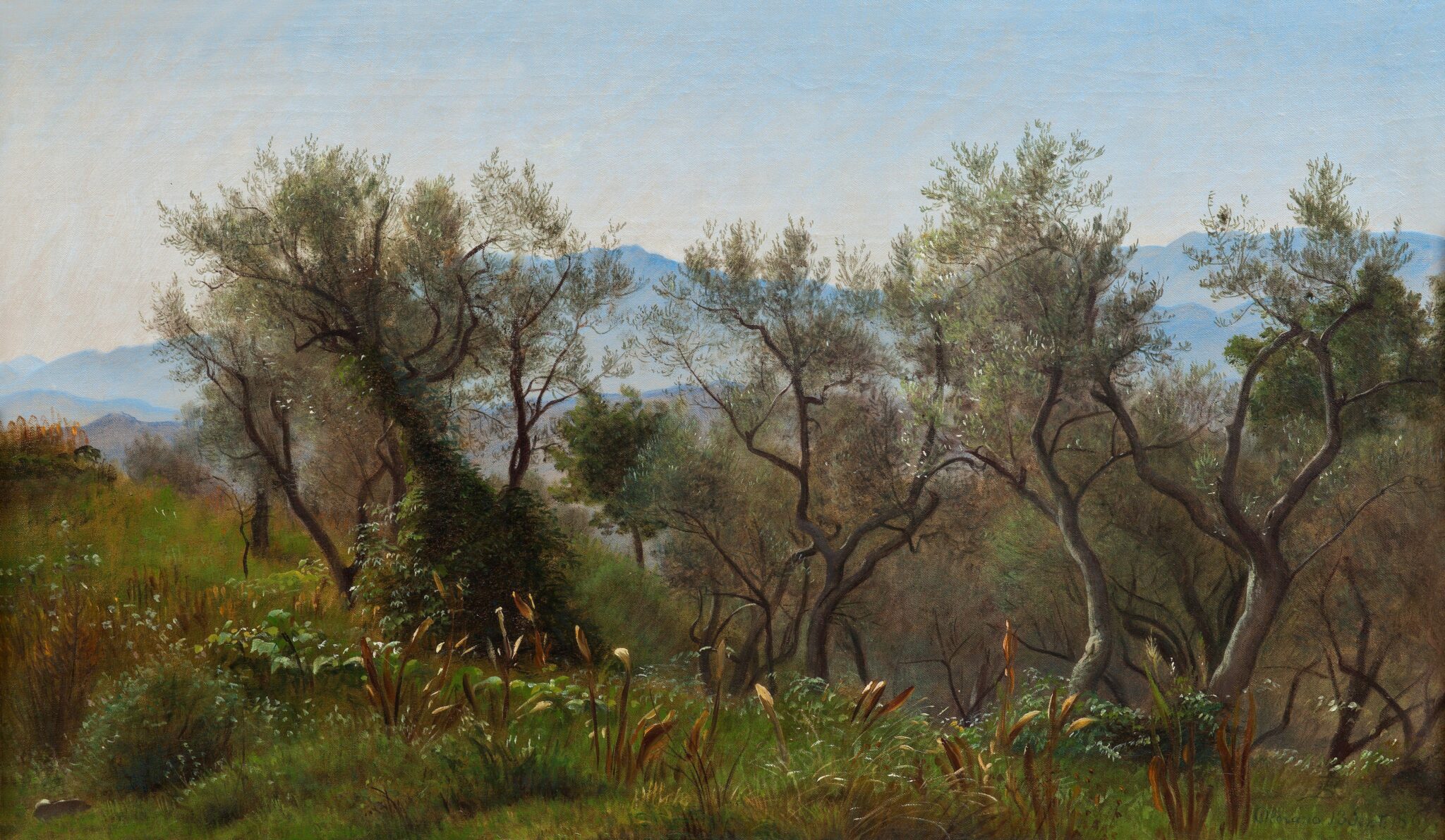 Fig. 8: P.C. Skovgaard, ”Oliventræer ved Olevano med bjerge i baggrunden”, 1869.Olie på lærred, 36 x 59 cm. Nivaagaards Malerisamling, inv.nr. 152NMK. Foto: Public domain.