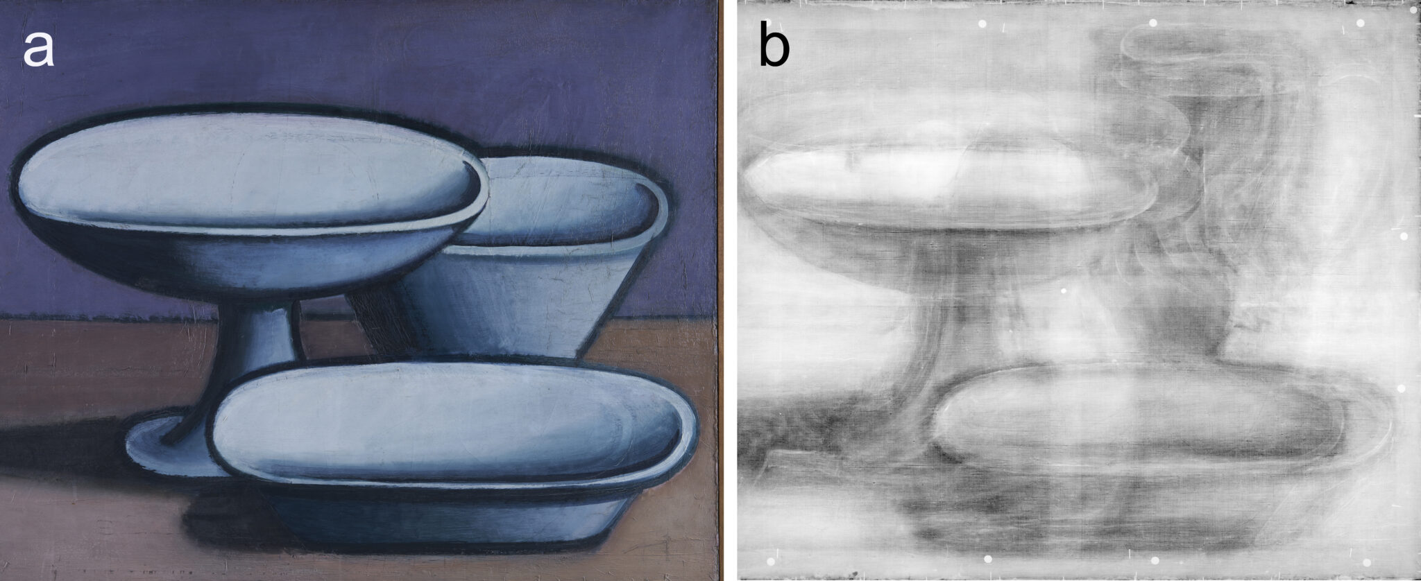 Fig. 8a-b. Nature morte i henholdsvis (a) almindeligt lys og (b) røntgen.