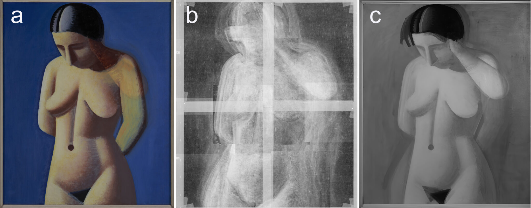 Fig. 9. Modelbillede i henholdsvis (a) almindeligt lys, (b) røntgen og (c) IR (1550 nm ± 40).